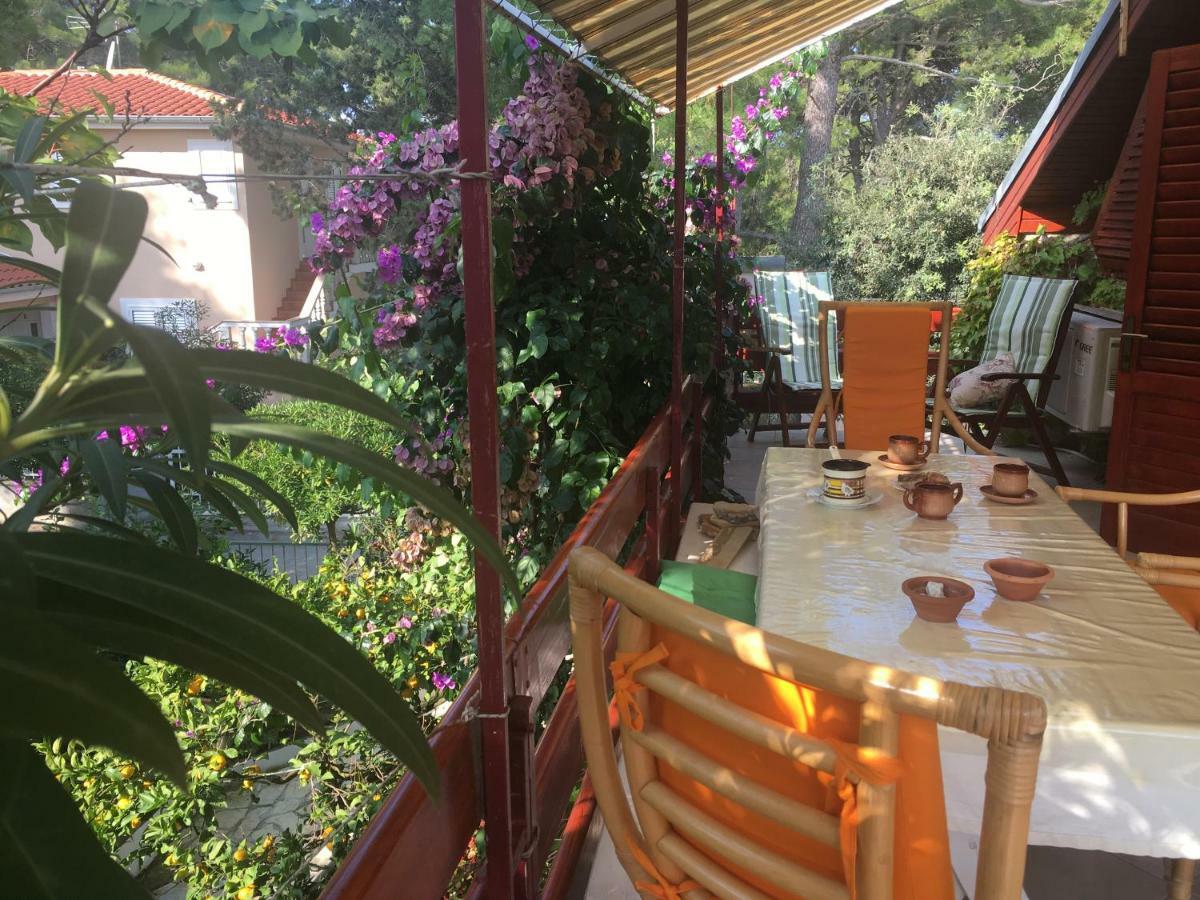 Apartmani Matas Petrčane Dış mekan fotoğraf