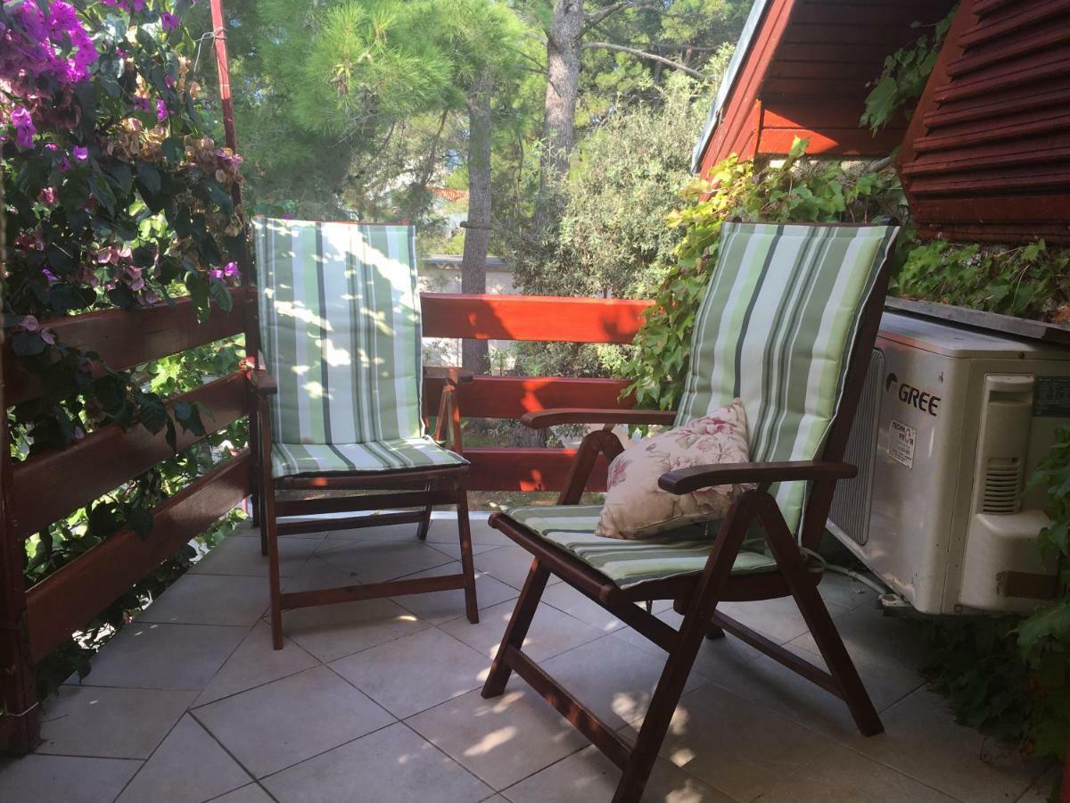 Apartmani Matas Petrčane Dış mekan fotoğraf
