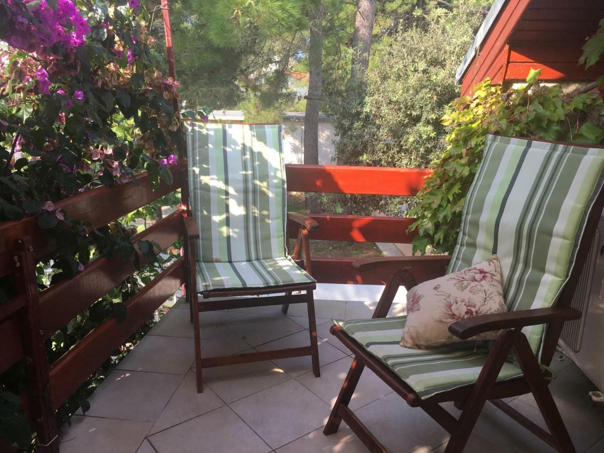 Apartmani Matas Petrčane Dış mekan fotoğraf