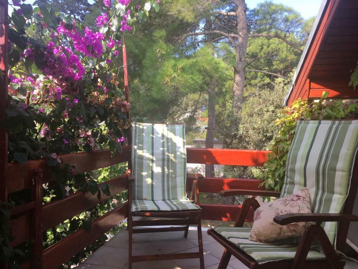 Apartmani Matas Petrčane Dış mekan fotoğraf